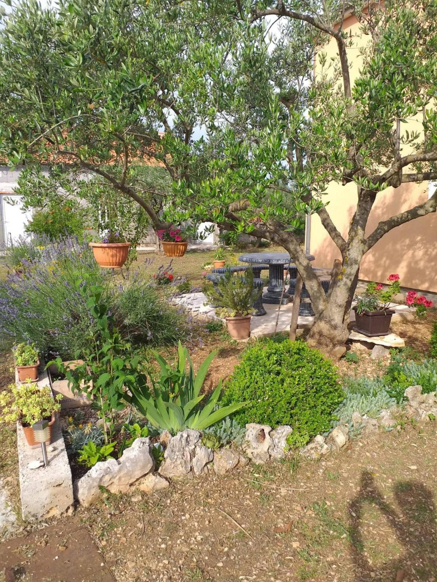 Rural Apartment Ante Drniš Eksteriør bilde
